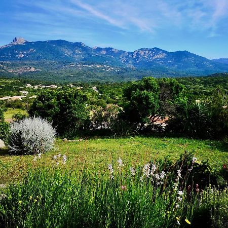 Appartements Avec Jardin Entre Porto-Vecchio Et Figari - Casa Mattiste 소타 외부 사진